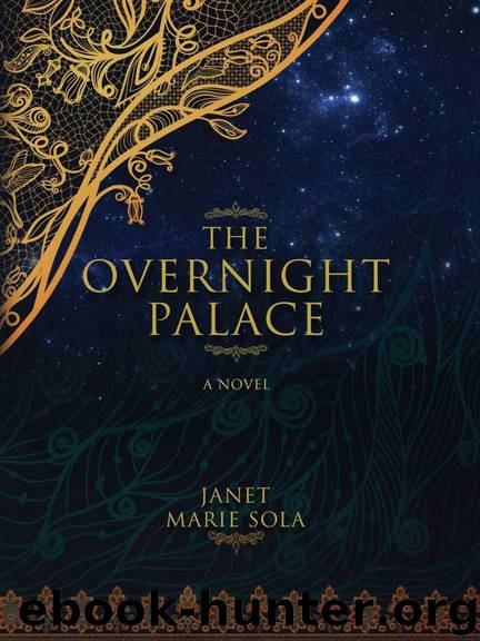 The Overnight Palace by Sola Janet