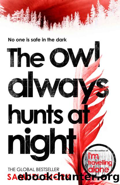 The Owl Always Hunts at Night: (Munch and KrÃ¼ger Book 2) by Samuel Bjork