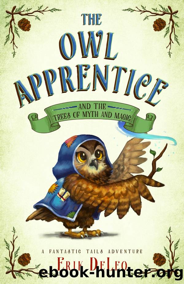 The Owl Apprentice by Erik DeLeo