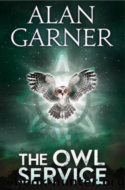 The Owl Service by Alan Garner