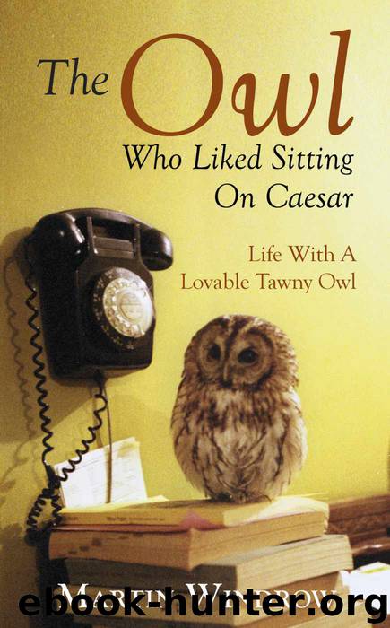 The Owl Who Liked Sitting on Caesar by Windrow Martin