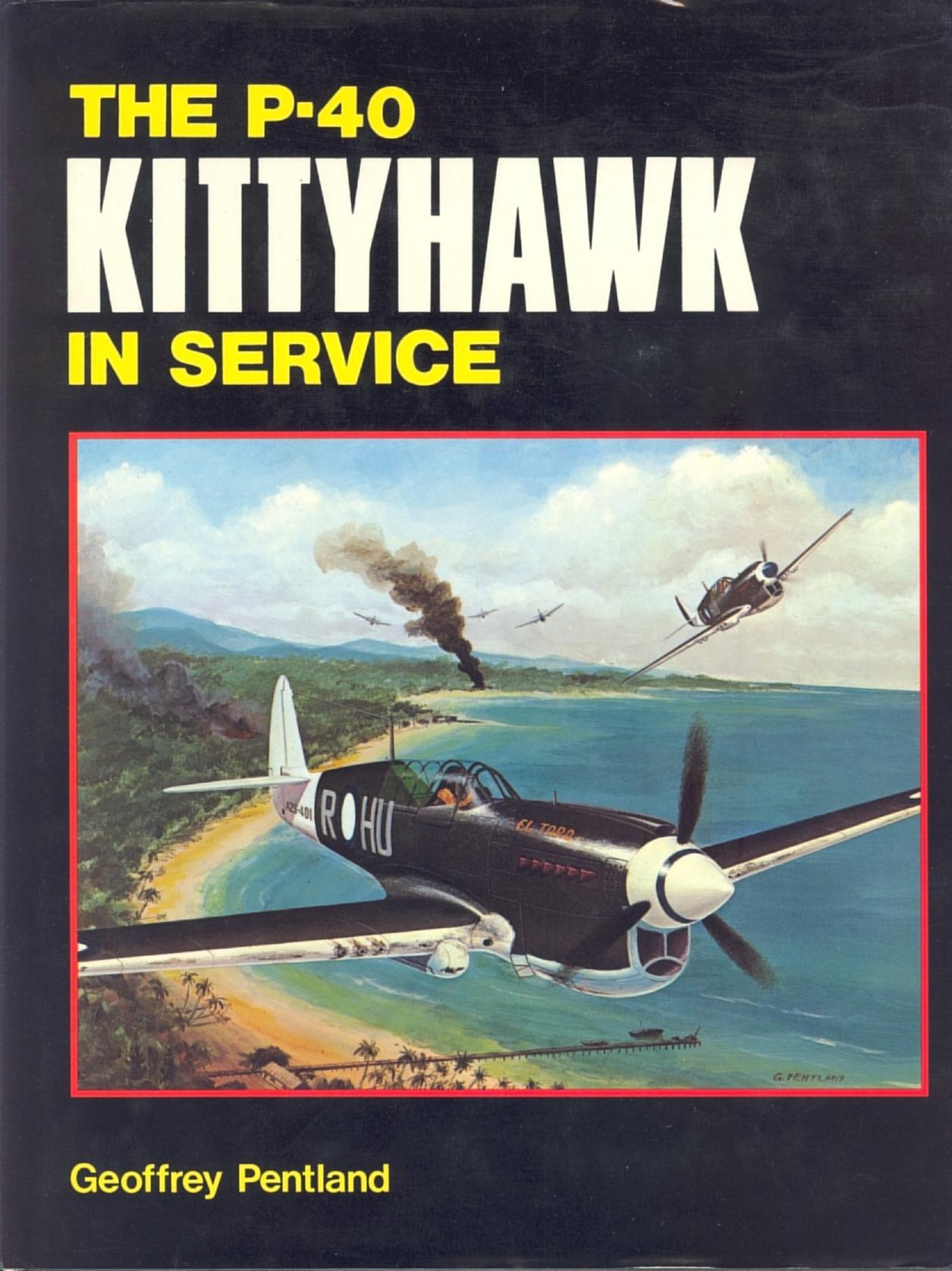 The P-40 Kittyhawk in Service by Unknow