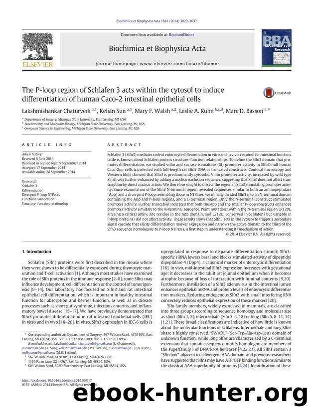 The P-loop region of Schlafen 3 acts within the cytosol to induce differentiation of human Caco-2 intestinal epithelial cells by Lakshmishankar Chaturvedi & Kelian Sun & Mary F. Walsh & Leslie A. Kuhn & Marc D. Basson