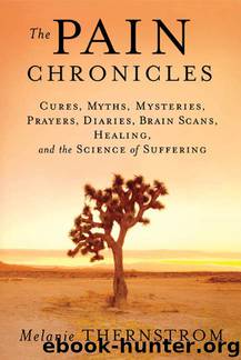 The Pain Chronicles: Cures, Myths, Mysteries, Prayers, Diaries, Brain Scans, Healing, and the Science of Suffering by Melanie Thernstrom