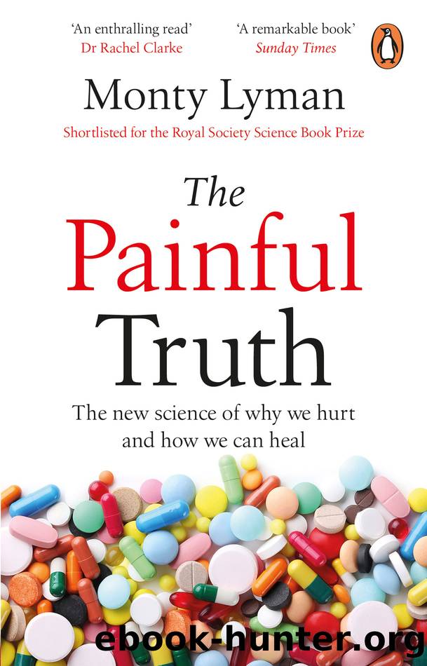 The Painful Truth by Monty Lyman
