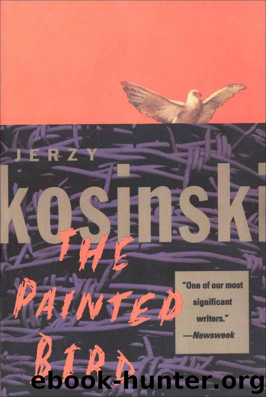 The Painted Bird by Jerzy Kosiński