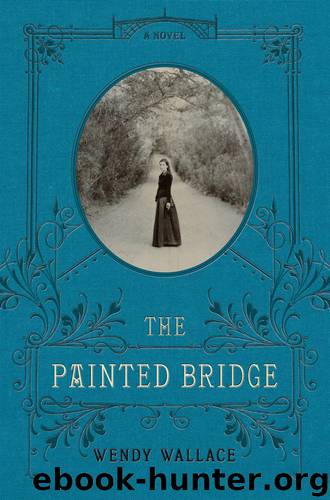 The Painted Bridge by Wendy Wallace