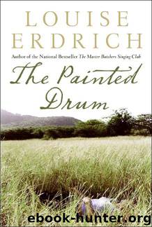 The Painted Drum by Louise Erdrich