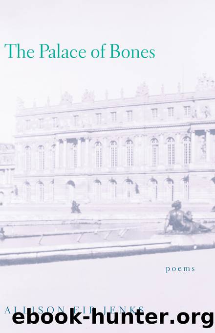 The Palace of Bones by Jenks Allison Eir;