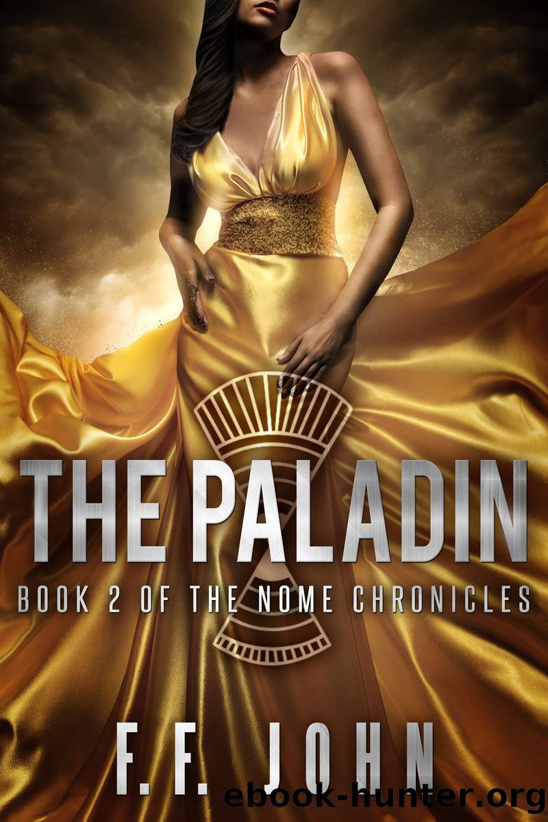 The Paladin by F. F. John