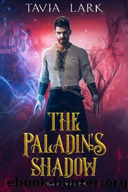 The Paladin's Shadow (Radiance Book 2) by Tavia Lark
