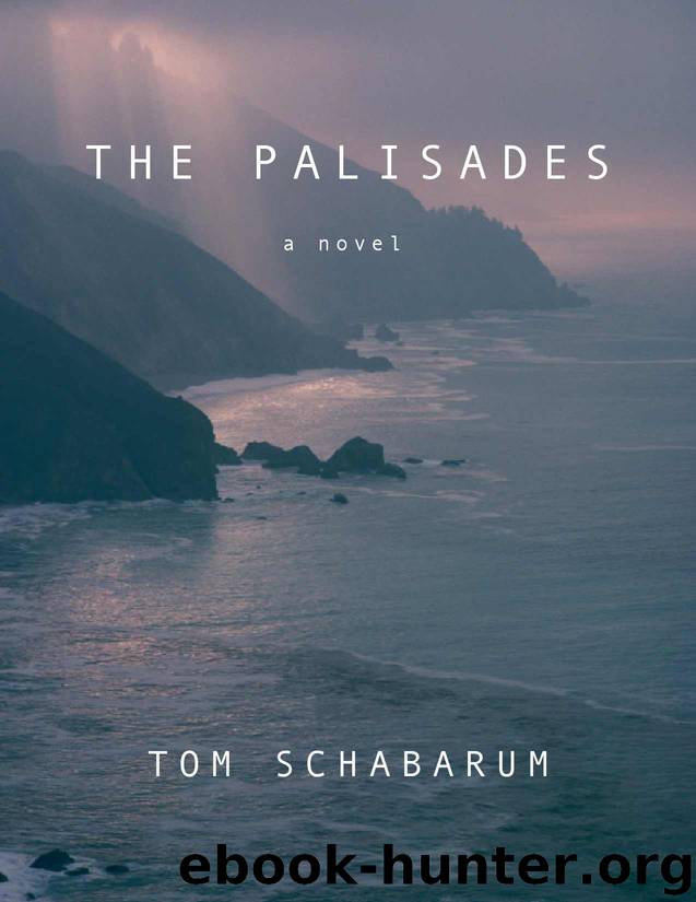 The Palisades by Tom Schabarum