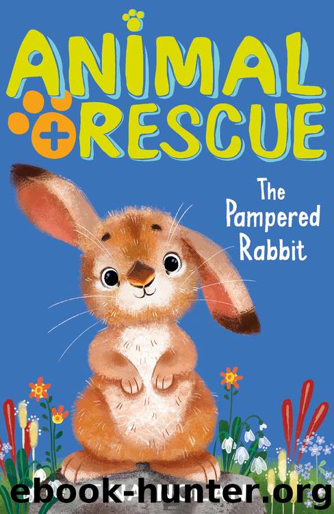 The Pampered Rabbit by Tina Nolan