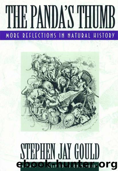 The Panda's Thumb: More Reflections in Natural History by Gould Stephen Jay Jay