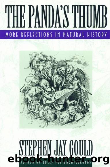 The Pandaâs Thumb: More Relctions in Natural History by Stephen Jay Gould