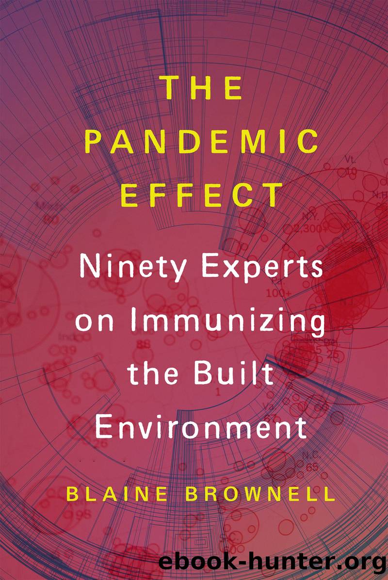The Pandemic Effect by Blaine Brownell