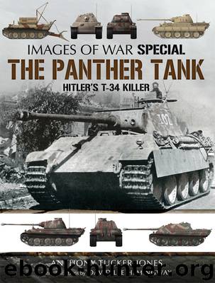 The Panther Tank by Anthony Tucker-Jones