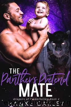 The Panther's Pretend Mate (Dragons of Cinderhollow Book 2) by Hawke Oakley