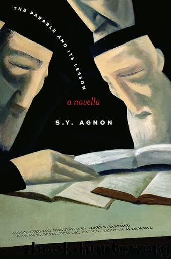 The Parable and Its Lesson: A Novella by S. Agnon James Diamond & Alan Mintz