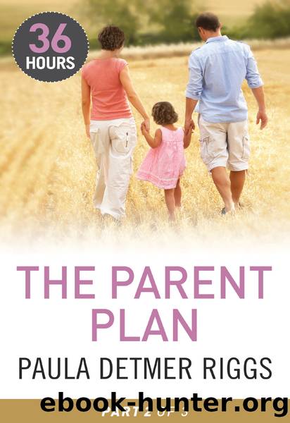 The Parent Plan Part 2 by Paula Detmer Riggs