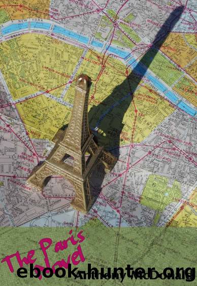 The Paris Novel by Anthony McDonald