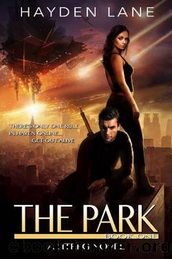 The Park: A LitRPG Novel (The Park Online Book 1) by Hayden Lane