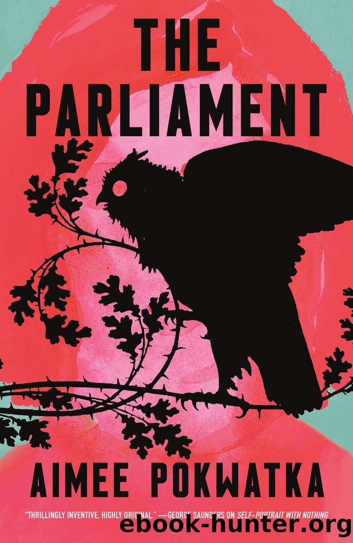 The Parliament by Aimee Pokwatka