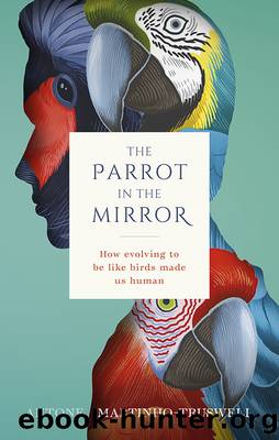 The Parrot in the Mirror by Antone Martinho-Truswell