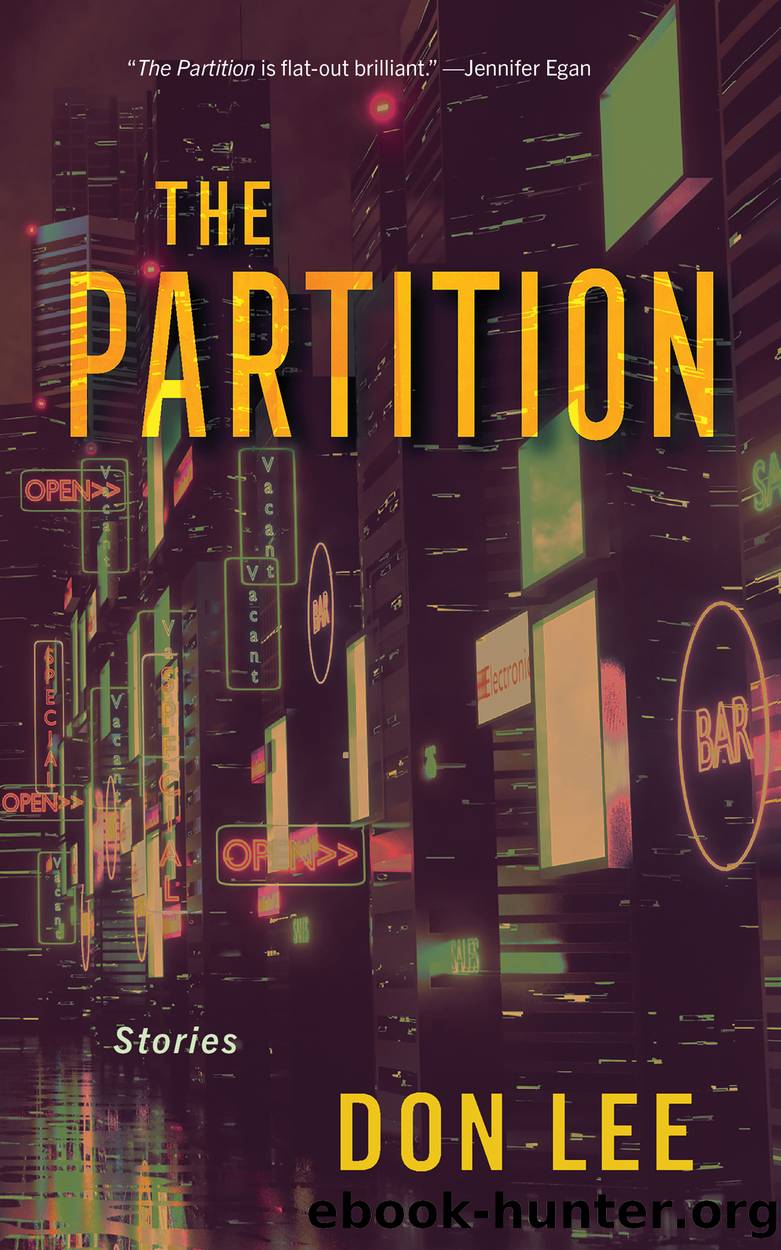 The Partition by Don Lee