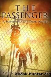 The Passenger by James N. Cook