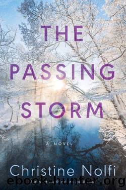 The Passing Storm: A Novel by Christine Nolfi