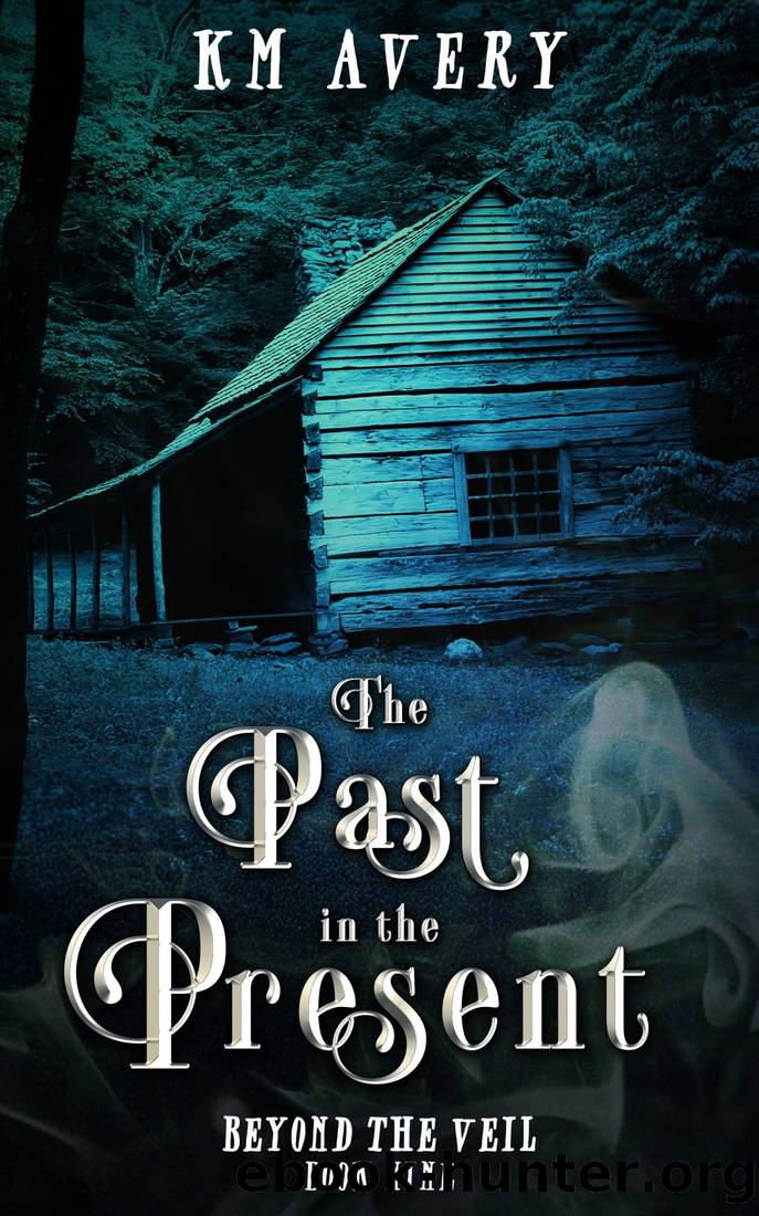 The Past in the Present (Beyond the Veil Book 9) by KM Avery
