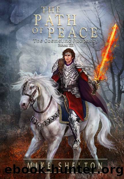 The Path Of Peace by Mike Shelton