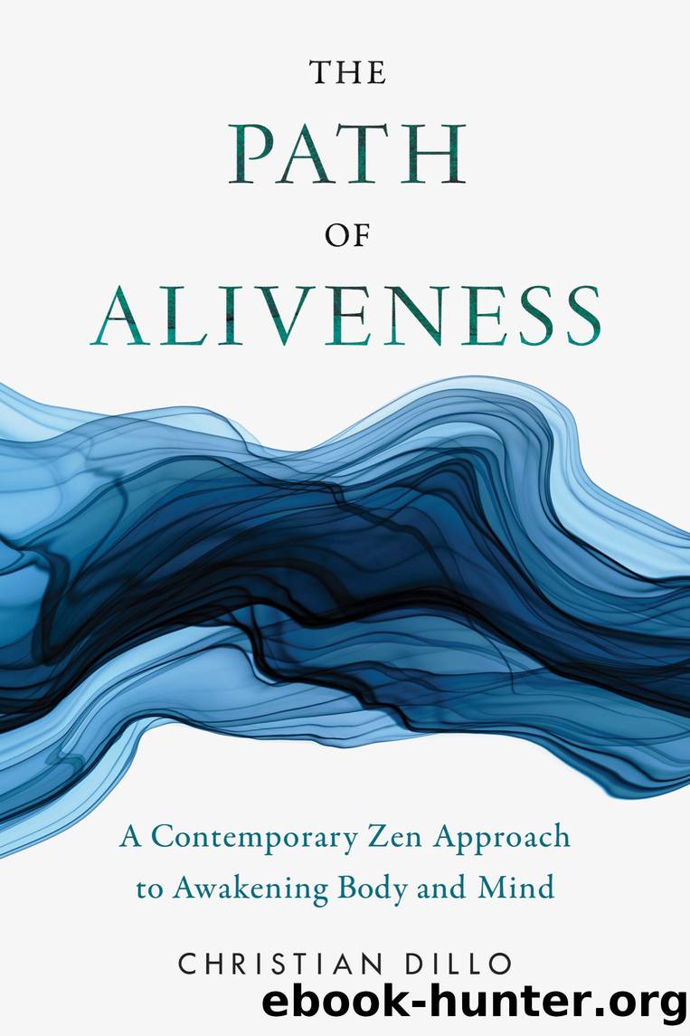 The Path of Aliveness by Christian Dillo