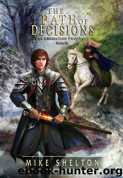 The Path of Decisions by Mike Shelton