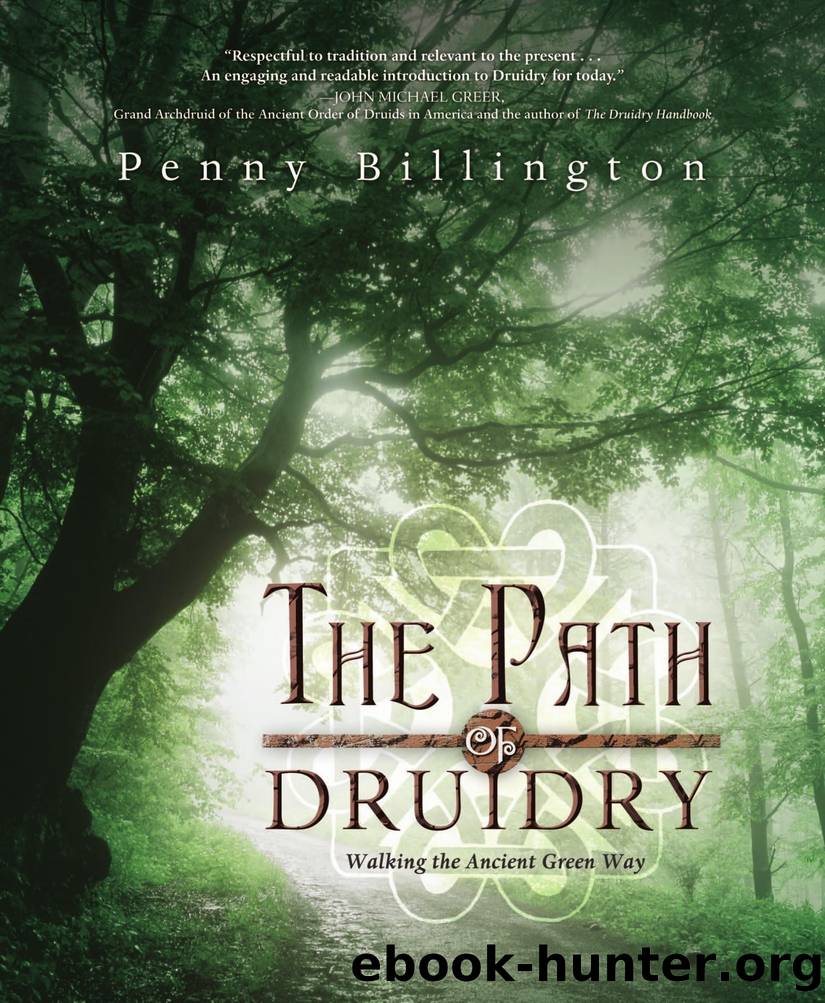 The Path of Druidry: Walking the Ancient Green Way by Penny Billington