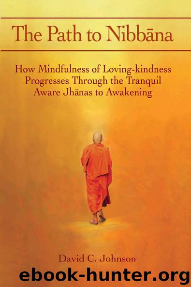 The Path to Nibbana by David C Johnson