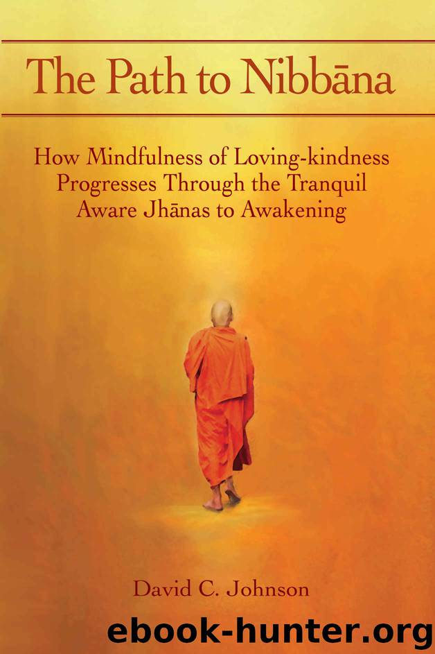 The Path to Nibbana: How Mindfulness of Loving-Kindness Progresses through the Tranquil Aware Jhanas to Awakening by David C. Johnson