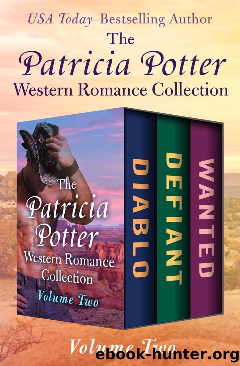 The Patricia Potter Western Romance Collection Volume Two by Patricia Potter