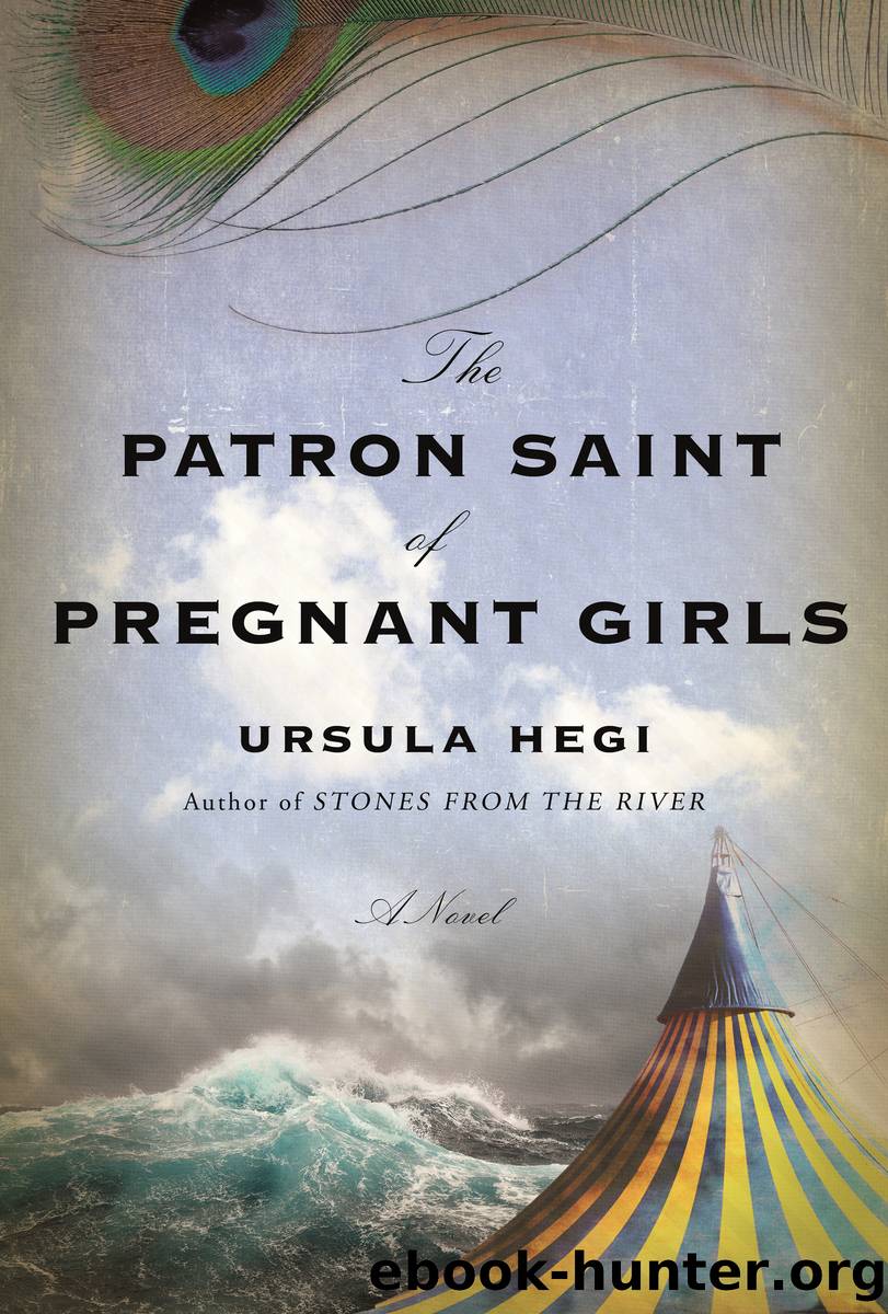 The Patron Saint of Pregnant Girls by Ursula Hegi