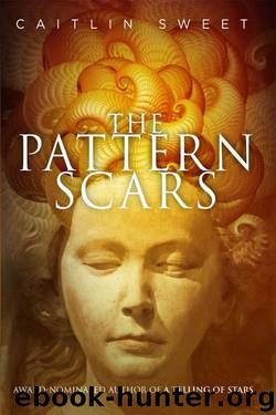 The Pattern Scars by Caitlin Sweet