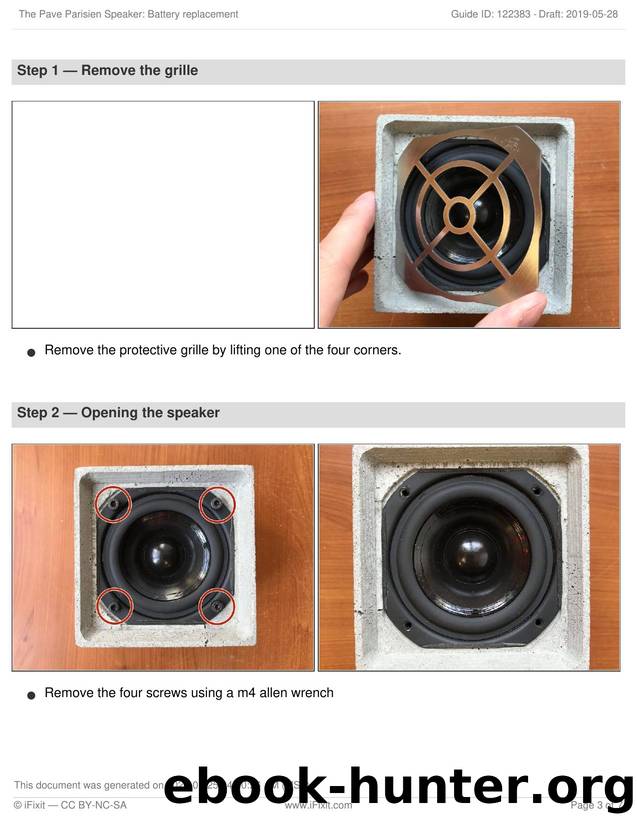 The Pave Parisien Speaker Battery replacement by Unknown