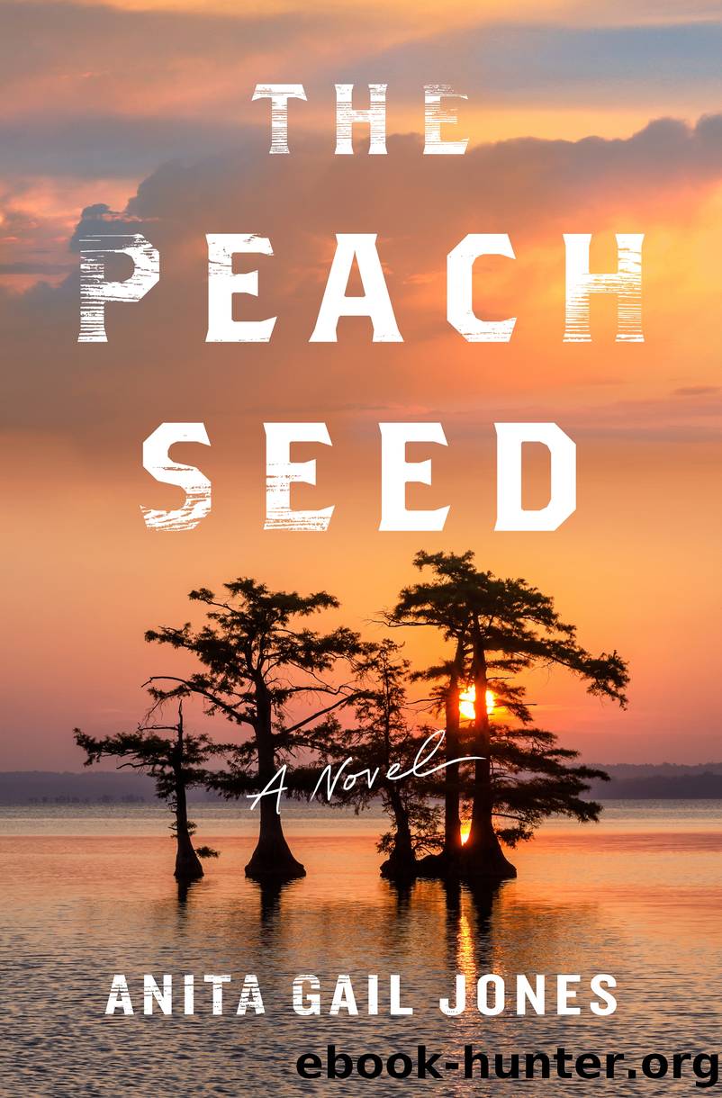The Peach Seed: a Novel by Anita Gail Jones