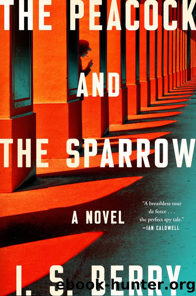 The Peacock and the Sparrow by I.S. Berry