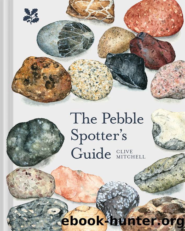 The Pebble Spotter's Guide by Clive Mitchell