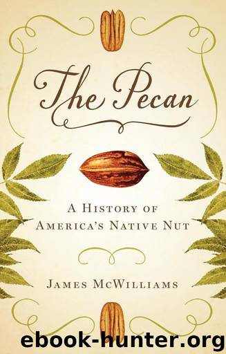 The Pecan by James McWilliams