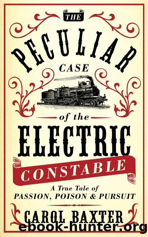 The Peculiar Case of the Electric Constable by Carol Baxter
