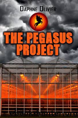 The Pegasus Project by Daphne Olivier