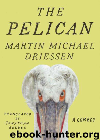 The Pelican by Martin Michael Driessen
