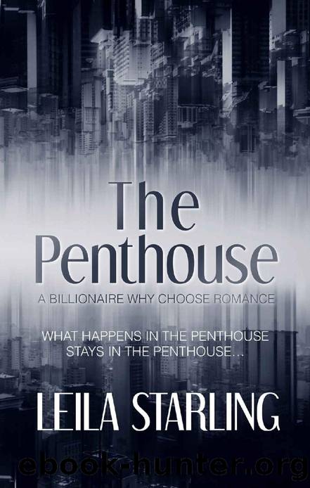 The Penthouse: A Why Choose Billionaire Romance by Leila Starling